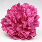 Peony Flower Paris Fuchsia Colour 7.438€ #504190084FX